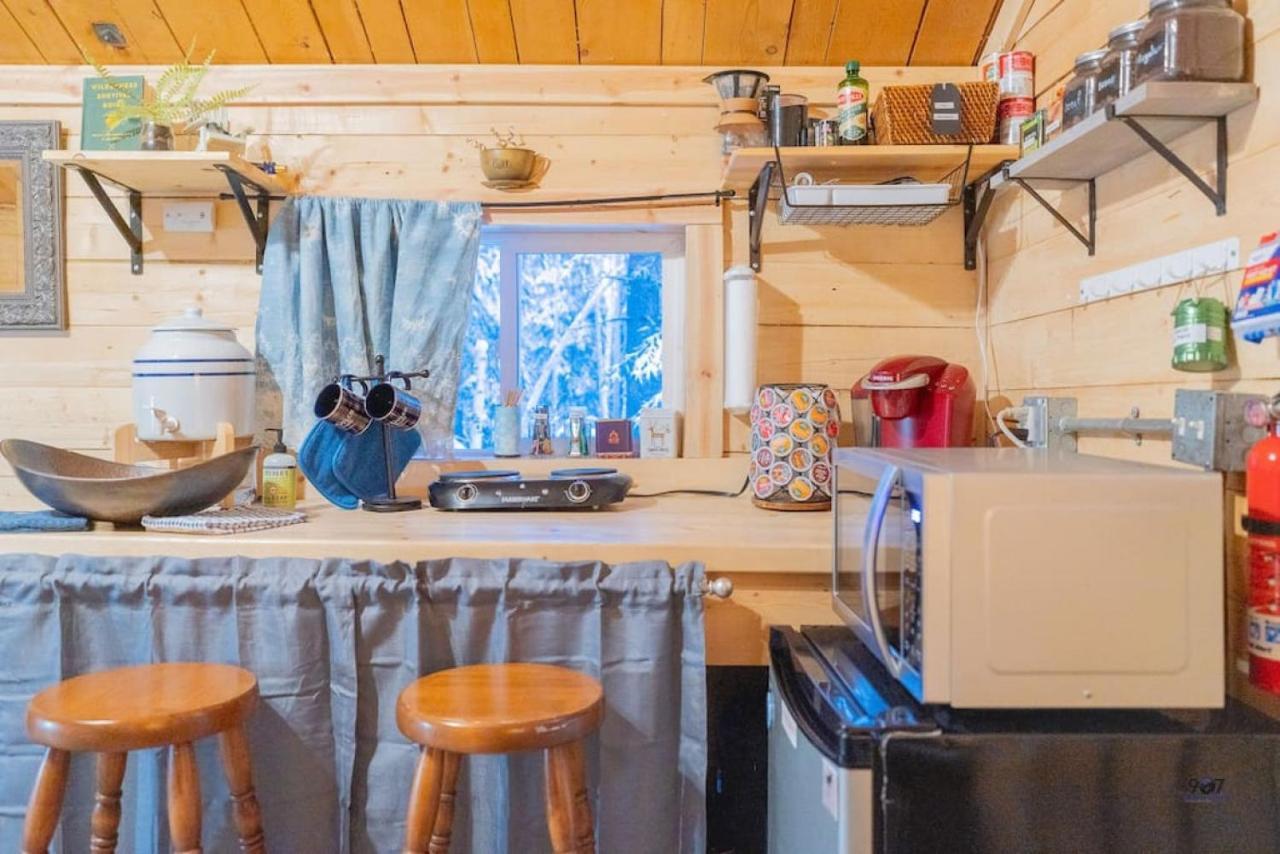 Studio Log Dry Cabin| Aurora Views! Fairbanks Bagian luar foto