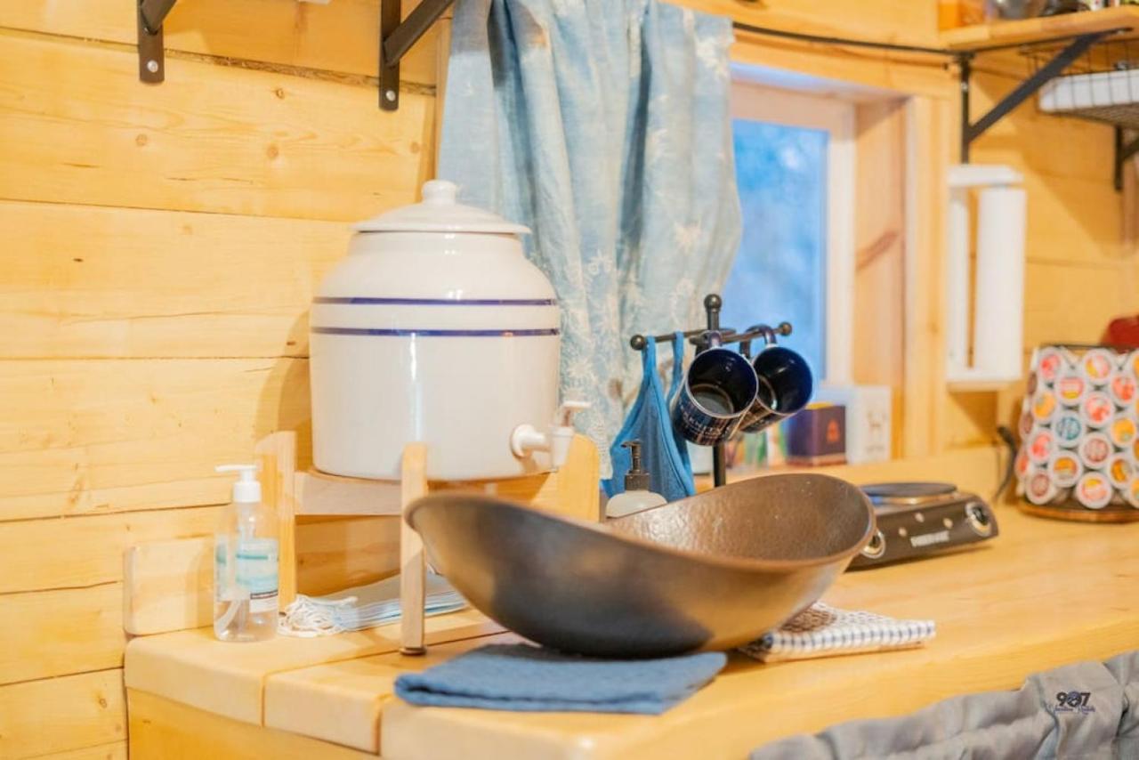 Studio Log Dry Cabin| Aurora Views! Fairbanks Bagian luar foto