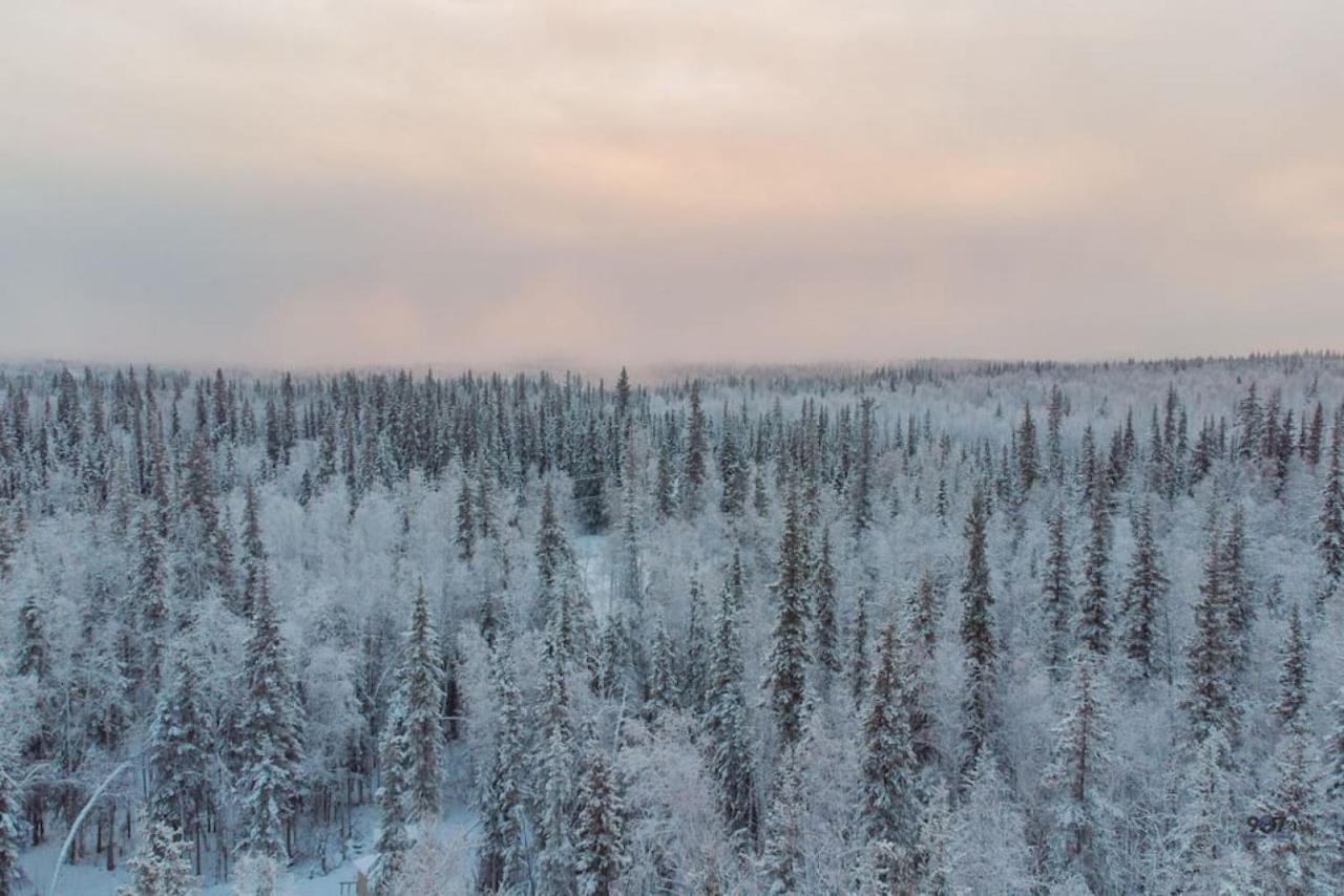 Studio Log Dry Cabin| Aurora Views! Fairbanks Bagian luar foto